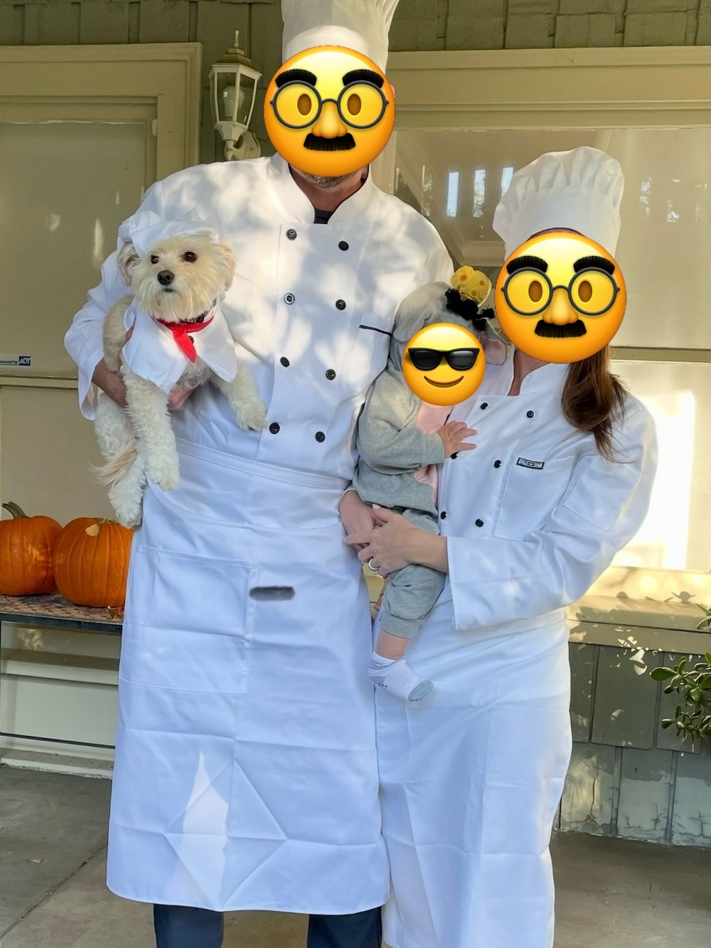 Ratatouille family costume set